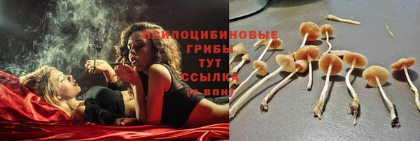гашиш Арсеньев